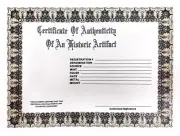 Paper Direct Coin Historical Artifact Authenticity Certificates Box of 100