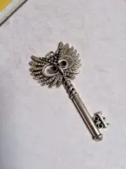 Skeleton Key Pendant Antiqued Silver Owl Key Charm Steampunk