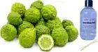 KAFFIR LIME & SANDALWOOD - Reed Diffuser Refill