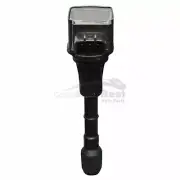 One New DENSO Auto Parts Direct Ignition Coil 6734029 for Nissan (for: Nissan)
