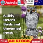 Simulated Owl Ornament Outdoor Garden Plastic Scarecrow Scare Birds Owl Statue