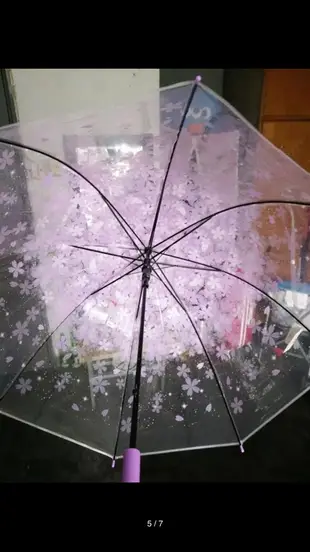 日本櫻花透明兒童雨傘/4色