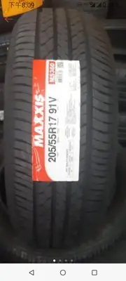 在飛比找Yahoo!奇摩拍賣優惠-【杰 輪】瑪吉斯 MAXXIS MS360 205/55-1