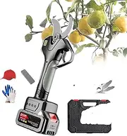 qwmvhfg， 21V Garden Pruning Shears with LCD Display Screen, 1.7 Inch Cutting Diameter,2-battery