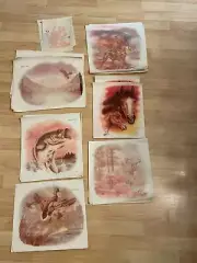 VTG 80s Huge lot Peel Hot Wildlife Animal Designs Iron-On Transfers Lot Of 35