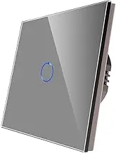 CNBINGO Flush-Mounted Touch Light Switch, Wall Switch, Simple in Grey, Haptic Surface, Touch Switch with Glass Panel and Status LED, 500 W/Compartment