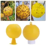 1xSticky Fruit Fly Traps Ball Fungus Gnat Killer Trap For Indoor-Outdoor B1W8