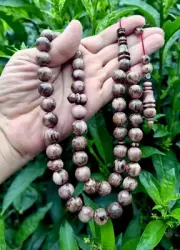 misky Prayer Worry Beads Subha Tasbih Tasbeeh تسبيح Masbaha مسبحة