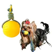 在飛比找momo購物網優惠-狗狗帶繩漂浮彈力球(耐咬 拔河 水上浮力 訓練互動球 磨牙 