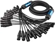 Multi-Channel Cables(12 Way XLR,10m)
