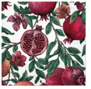 Pomegranate Fruit Paper Lunch Napkins 20pcs Serviettes DECOUPAGE