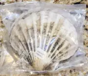 VTG FRANCE Large 5” Viking Clam Scallop Seafood Baking Cooking Shells - SET 4
