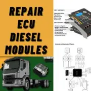 Repair Diesel ECU Electronics Modules Mapped Schemas of PLD Common Rail System