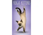 2023-2024 2-Year Planner Yoga Kittens Monthly Pocket, Browntrout