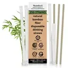 Powder Bamboo Straws (250-Pack) - 7.88" Disposable Straws Individually Wrappe...