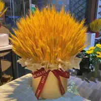在飛比找樂天市場購物網優惠-黃金麥穗干花小麥天然干稻穗開業大麥賣干花花束裝飾擺件拍攝道具