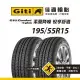 【Giti佳通輪胎】T20 195/55R15 2入組