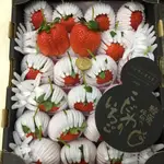 日本草莓.草莓苗. 菊池 糖蜜(ひのしずく)草莓種子