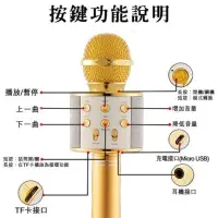 在飛比找蝦皮購物優惠-WS-858麥克風 KTV藍芽喇叭麥克風 無線麥克風