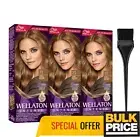 Wella {Wellaton} 7/3 Hazelnut 3-Pack Professional Hair Color Salon Quality
