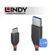 【免運】LINDY 林帝 Black USB 3.2 Gen 2x2 Type-C 公 to 公傳輸線 1.5m (36907)