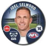 2022 AFL Geelong - SELWOOD, Joel