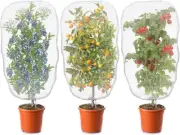 3 Packs Garden Plant Netting Covers Bags, Blueberry Bushes & Fruit Trees Protect