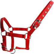 Eigell Adjustable Horse Halter Equestrian Accessory Sports Training Breakaway Halter Equestrian Headstall for Racecourse Pasture