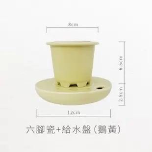 【森多】百萬心－窯瓷系列｜垂吊植物 水耕盆栽 瓷器