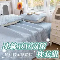 在飛比找momo購物網優惠-【寢聚 Sleep Club】可水洗冰絲豆豆涼蓆枕套組 涼感