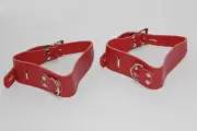 Strict Leather Wrist/Ankle Restraints with O-Ring BDStyle