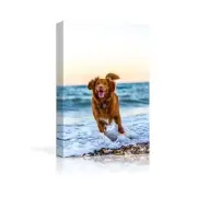 NWT Custom Pet Canvas Prints - Personalized 24x16 Inch Wall Art, Ready to Hang w