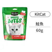 在飛比找毛孩市集優惠-【KitCat】薄荷潔牙餅60克 鮭魚口味(貓零食)