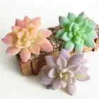 3 Pcs Succulent Plants Indoor Craft Fake Flowers Green Artificial