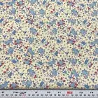 Sun Porch Prints by Four Corner Designs for A E Nathan Cream Cotton HALF YARD