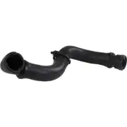 Crp CHR0766
