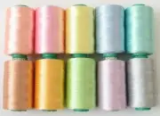 New 10 Baby Pastel Rayon Embroidery Threads Brother Machine