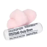 Fuzzyard Fetch My Slippers Paper Dog Toy