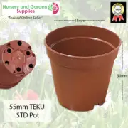 55mm Standard Plant Pot Terracotta - FULL BOX 6084 - Cactus, Succulents, herbs