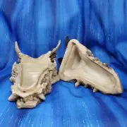 Horned Dragon Head Skull Skeleton Jewelry Keys Coin Box Resin Figurine *NEW*