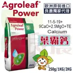 【魔力花田】【有現貨】良農 葉霸鈣AGROLEAF POWER CALCIUM 11-5-19+9CAO+2.5M