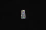 Cut Opalized Shell Fossil from Coober Pedy