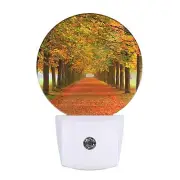 Fall Plug in Night Light Maple Road Red Orange Leaves Night Lights Plug into ...