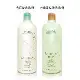 AVEDA 純香/迷迭薄荷洗髮精 1000ML-2款供選