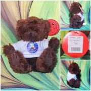 NEW Build-A-Bear Lil Centennial 2 Collection Brown Teddy Bear 6" Stuffed Plush