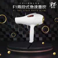 在飛比找蝦皮購物優惠-強風重吹 髮之奇緣 魔幻飛馬007 F1 吹風機