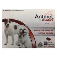 在飛比找蝦皮購物優惠-Antinol Rapid安適得酷版 犬貓關節保健食品60粒