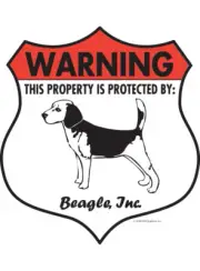 Warning! Beagle - Property Protected Aluminum Dog Sign - 7" x 8" (Badge)