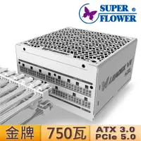 在飛比找PChome24h購物優惠-振華 Leadex VII 750W ATX3.0金牌 電源