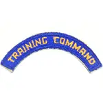 美軍公發 二戰 USAAF 陸軍航空軍 TRAINING COMMAND 訓練司令部 臂章 全新